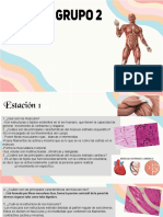 Características y funciones de los músculos