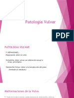 4 Clase - Patología Vulvar