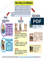 Infografia Estructura Social de Venezuela
