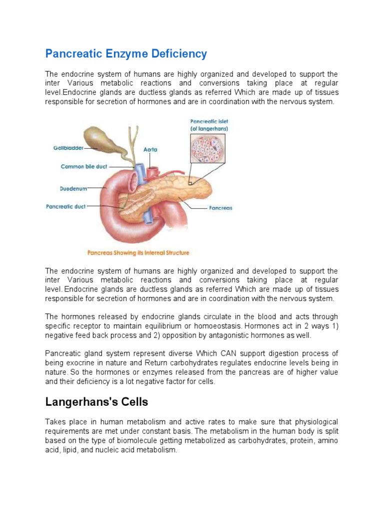 Pancreatic Enzyme Deficiency PDF Pancreas Metabolism