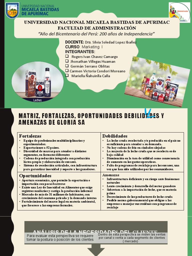 Plan de Marketing-Gloria | PDF | Marketing | Producto (Negocio)