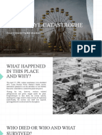 Chernobyl Catastrophe (1)