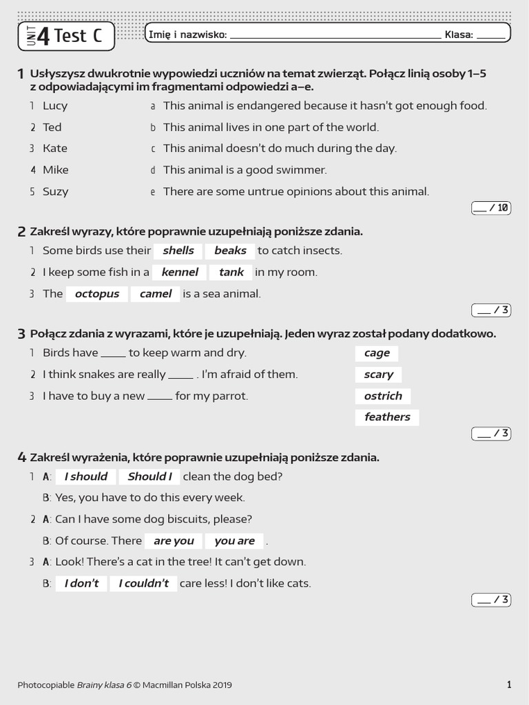 Ania Z Zielonego Wzgórza Test Z Odpowiedziami Pdf