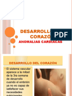 Desarrollo Del Corazón