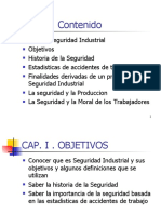 Cap I Seguridad Industrial