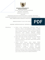 Skkni 2019-234 PDF