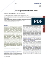 Functions of p53 in Pluripotent Stem Cells