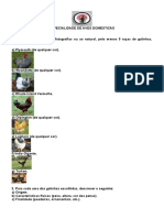 Identificação de Raças de Aves Domésticas