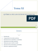 11 Química de Los Ácidos Nucleicos (1)