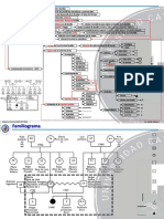 MED-097-001 (Familiograma)