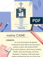 Matriz Came Diapos PDF