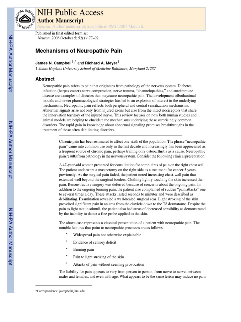 Mechanism of Neuropathic Pain | PDF | Pain | Peripheral Neuropathy