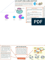 Chất kìm hãm enzyme