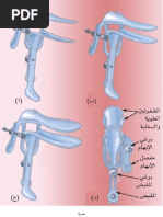 Download Atlas of Obstetrics Gynecology by Nelson R Pou SN54169318 doc pdf