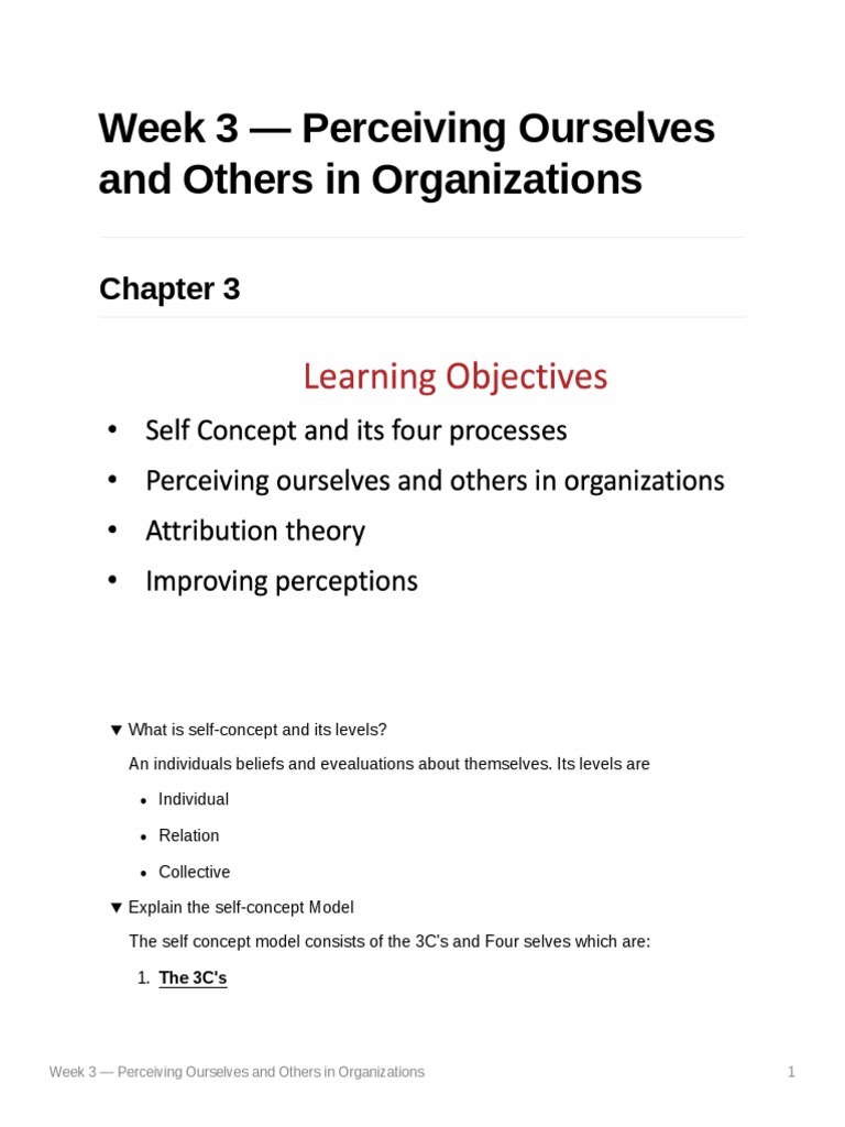 week-3-perceiving-ourselves-and-others-in-organizations-download-free