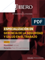 Especialización en Gerencia de La Seguridad y Salud en El Trabajo