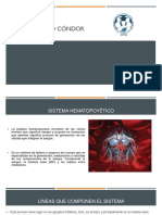 Sistema Hematopoyetico