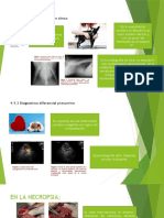 TETRALOGIA DE FALLOT PPT.pptx jose david