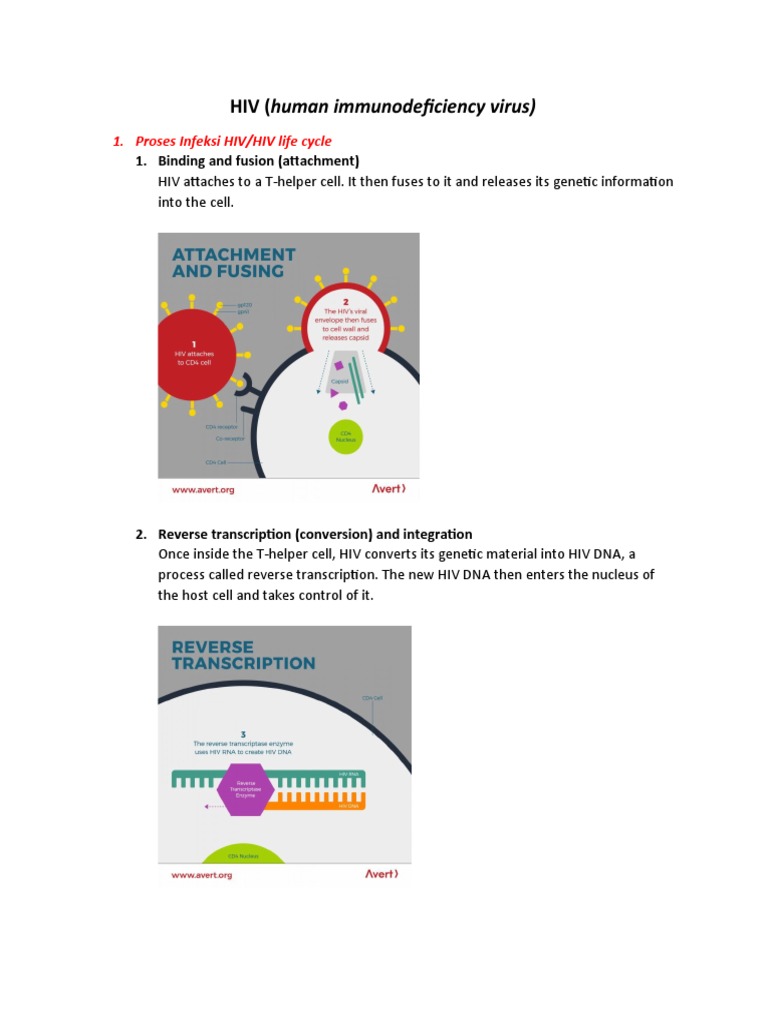 HIV (Human Immunodeficiency Virus) : 1. Binding and Fusion (Attachment ...