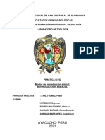 Ayacucho-Perú 2021: Universidad Nacional de San Cristobal de Huamanga