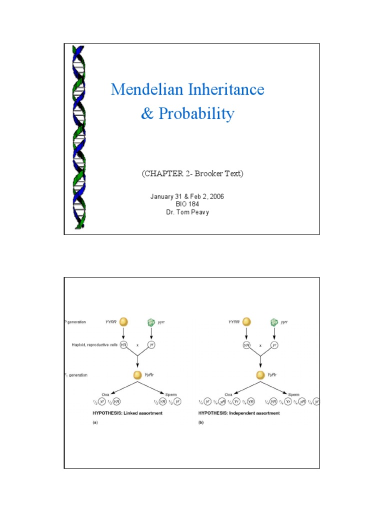 Mendelian Genetics and Chi-Square Analysis | PDF | Dominance (Genetics ...