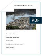 Contaminación Del Riachuelo-Trabajo de Investigación