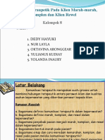 Persentase Kelompok 8