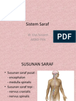 Sistem Saraf