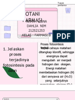 Botani Farmasi: Nama: Lisna Dahlia Nim 212521253 Kelas: Farmasi B