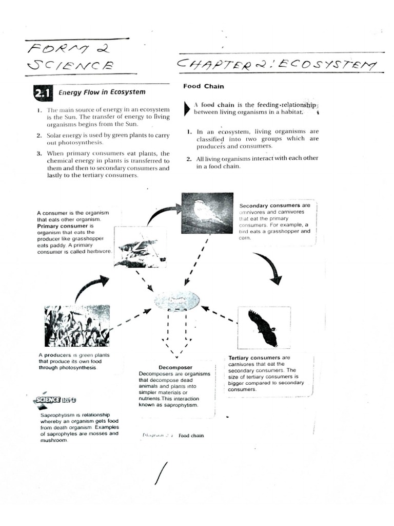 Science Form 2 Chapter 2 Ecosystem | PDF