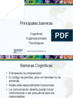 Brazil Nov08 Workshop Presentation 3 PrincipalesBarreiras SP