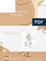 Wrist Joint & Antebrachii Bu Shinta