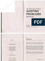 Auditing Problems Gerardo Roque