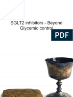 SGLT2i Beyond Glycemic Control