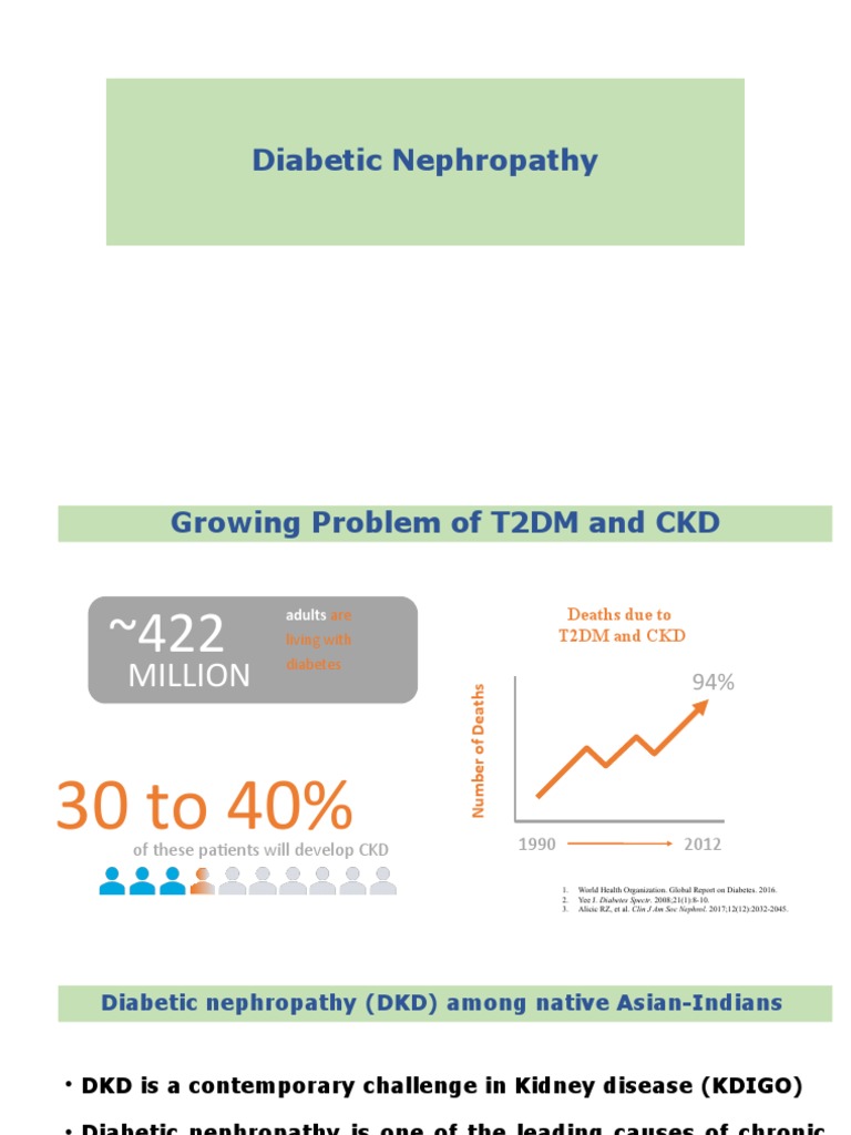 Diabetic Nephropathy and CKD Insights | PDF | Chronic Kidney Disease ...