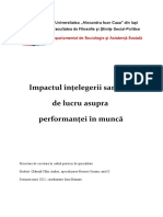 proiect-Impactul înțelegerii sarcinilor de lucru asupra performanței în muncă