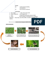 Agroekologi Pengamatan Timbal Balik Komponen Biotik - Astrilia Ferlyta M. - 201510801014