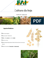 A Cultura da Soja: Aspectos Botânicos, Origem, Difusão e Importância Econômica