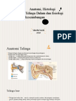 NBS Telinga Dan Agoraphobia