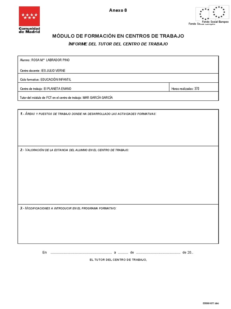 Fp-Fcts-Anexo8-Informe-Tutor ROSA | PDF