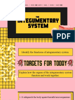 Functions of the Integumentary System Explained