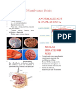 Resumo Placenta e Membranas Fetais