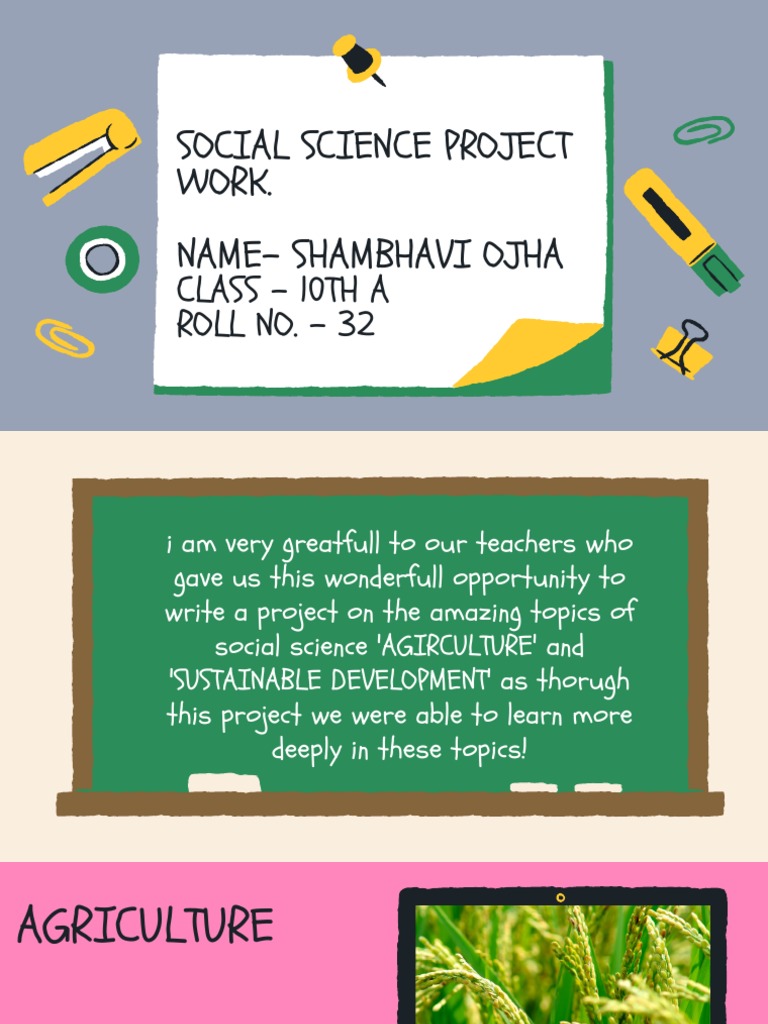 Social Science Project Work | PDF | Agriculture | Crops