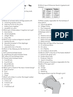 Skeletal Sys MCQ