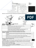 Section B Topic 9: Reproduction: Comparison of Asexual and Sexual Reproduction