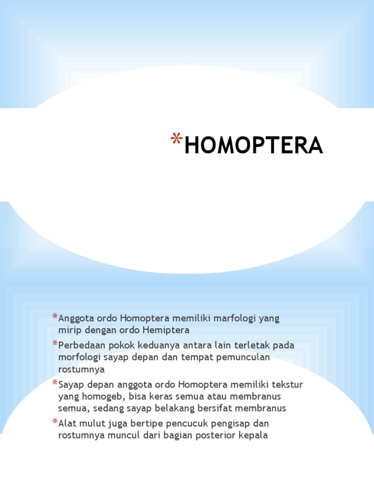 Homoptera Presentation | PDF