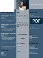 184 Curriculum Vitae Esquema