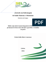 Estela Sofia Ruivo Lourenço Reiki Como Intervenção Do EEESMO