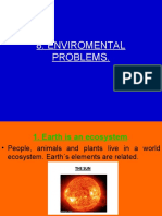 Enviromental Problems