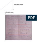 Practica Dirigida de Integración